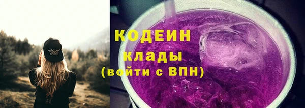 прущие грибы Бугульма