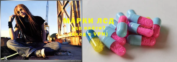 прущие грибы Бугульма