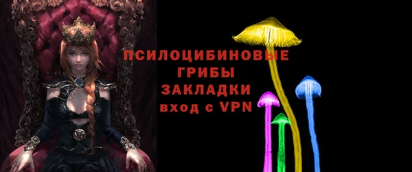 прущие грибы Бугульма