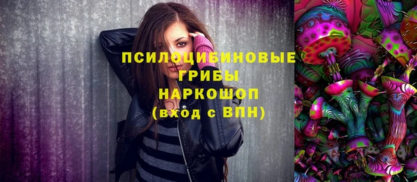 ECSTASY Бронницы