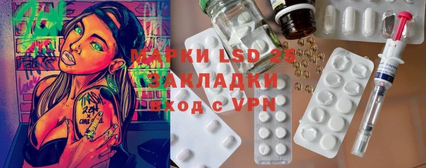 прущие грибы Бугульма