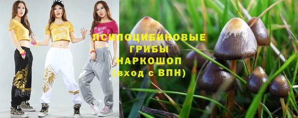 прущие грибы Бугульма
